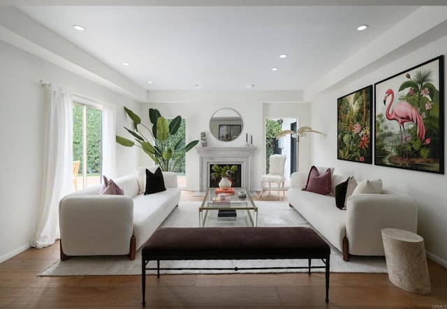 living room featuring light hardwood / wood-style flooring