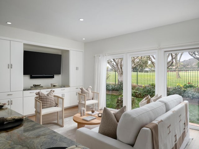 living room featuring light hardwood / wood-style flooring