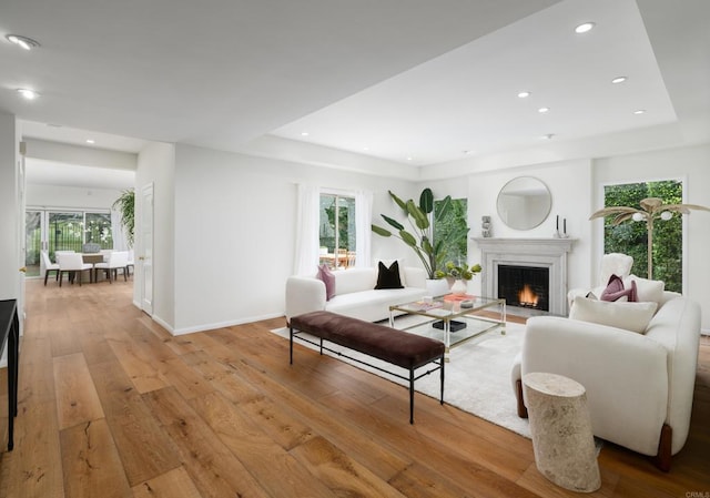 living room with a healthy amount of sunlight, light hardwood / wood-style flooring, and a tray ceiling