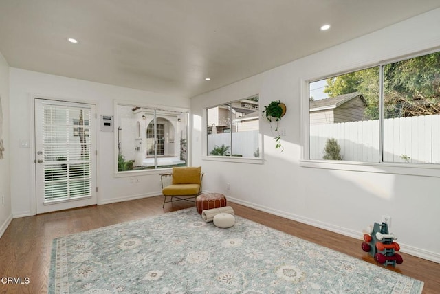 living area featuring wood-type flooring