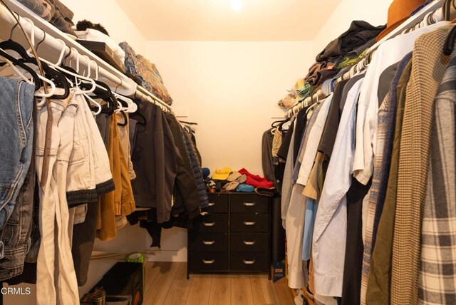 spacious closet featuring light hardwood / wood-style flooring