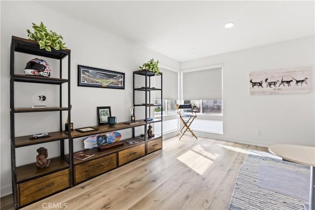 interior space with light wood-type flooring