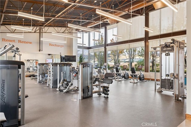 workout area featuring a high ceiling