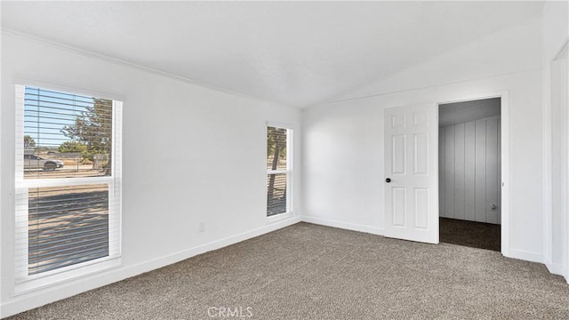 spare room with a wealth of natural light, carpet, and vaulted ceiling