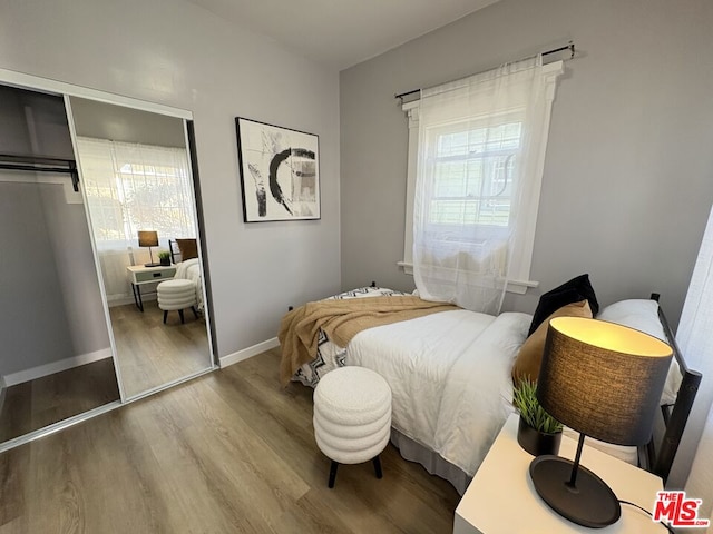 bedroom with hardwood / wood-style floors and a closet