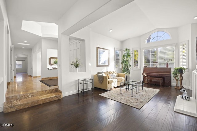 living room featuring dark wood-type flooring and lofted ceiling