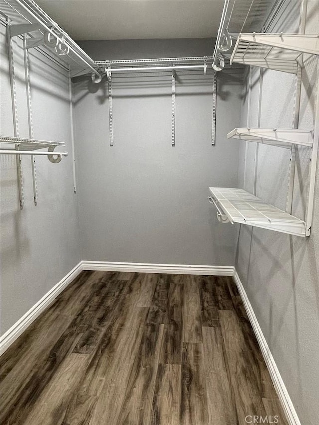 spacious closet with hardwood / wood-style flooring