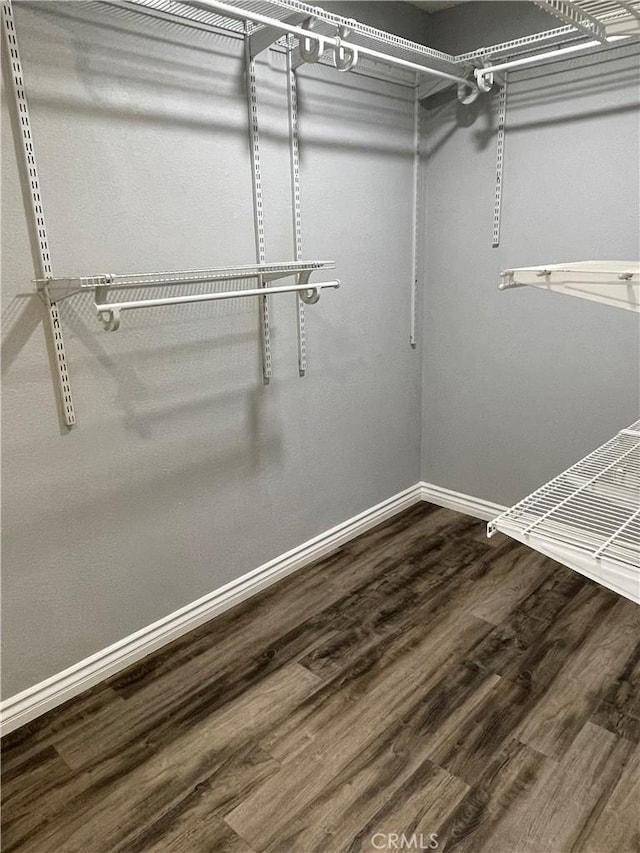 spacious closet featuring wood-type flooring