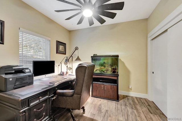 office with ceiling fan and light hardwood / wood-style flooring