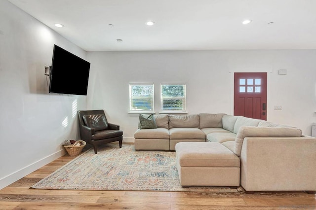 living room with hardwood / wood-style floors