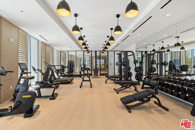 workout area featuring light hardwood / wood-style floors and expansive windows