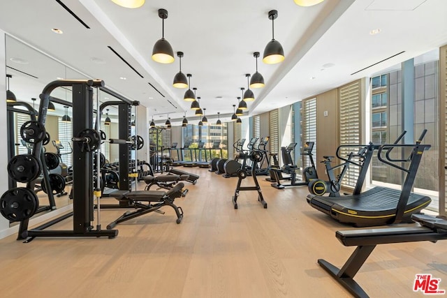 workout area featuring floor to ceiling windows and light wood-type flooring