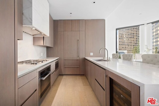 kitchen with custom exhaust hood, light hardwood / wood-style floors, stainless steel appliances, tasteful backsplash, and sink