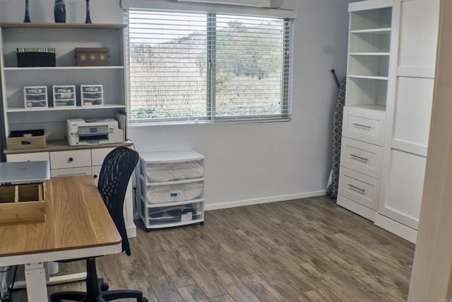 office featuring dark hardwood / wood-style flooring