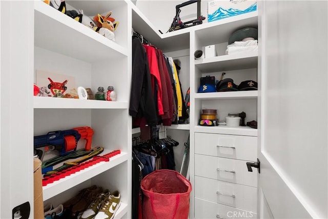 view of spacious closet