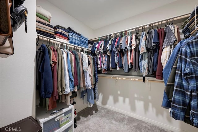 walk in closet featuring carpet floors