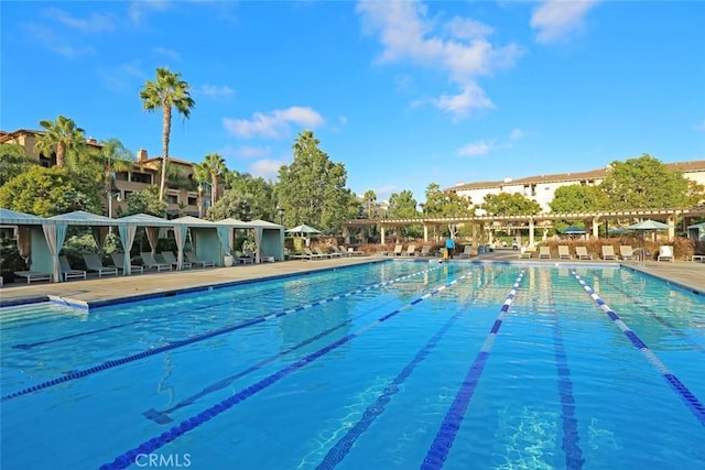 view of pool featuring a patio area