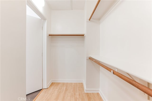 spacious closet featuring light hardwood / wood-style floors