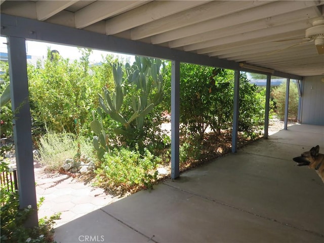 view of patio