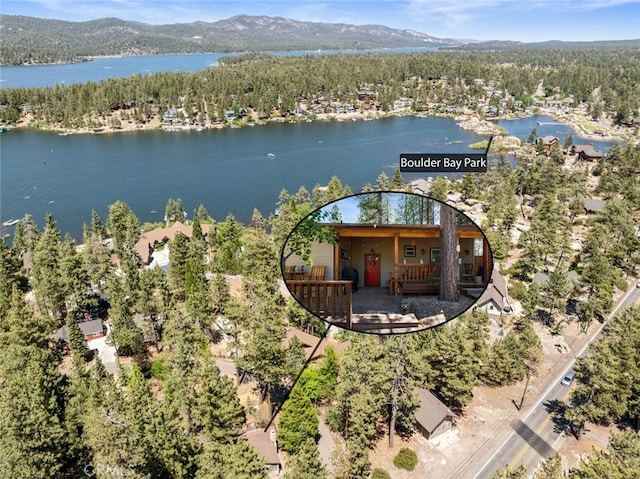 birds eye view of property featuring a water and mountain view