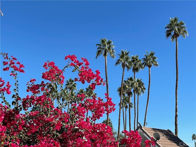 42278 Dunes View Rd Unit 28, Rancho Mirage, CA 92270 - exterior view of a satellite dish
