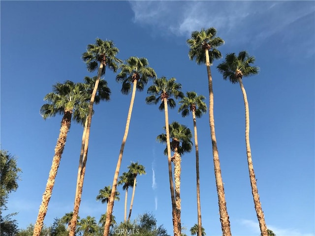 42278 Dunes View Rd Unit 28, Rancho Mirage, CA 92270 - water view