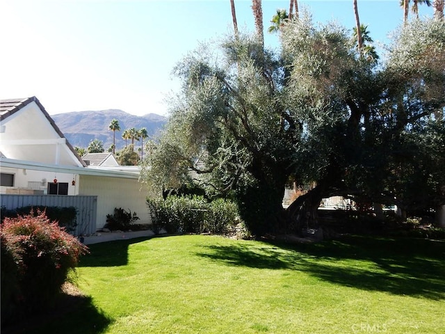 view of yard featuring a mountain view