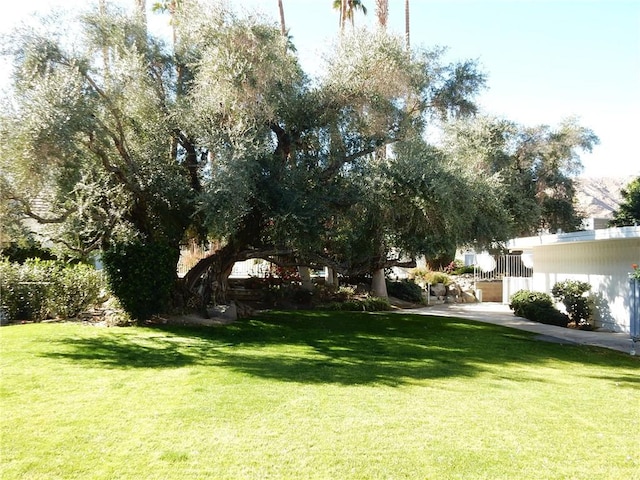 42278 Dunes View Rd Unit 28, Rancho Mirage, CA 92270 - view of green lawn