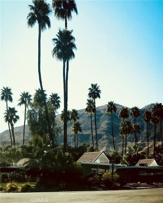 water view featuring a mountain view