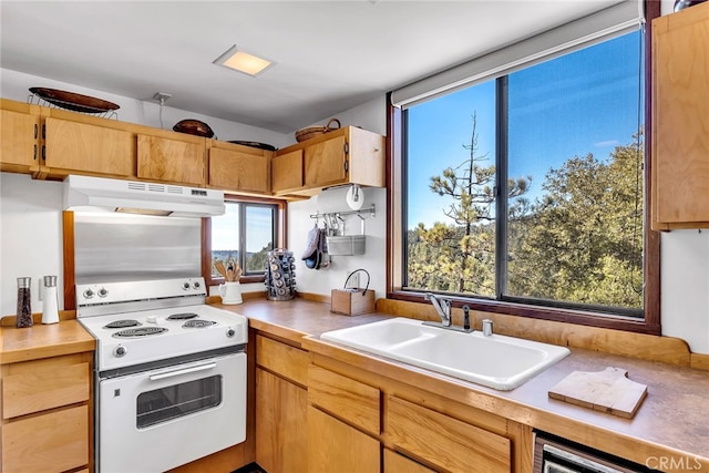 kitchen featuring electric range and sink