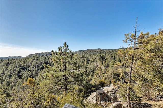 property view of mountains