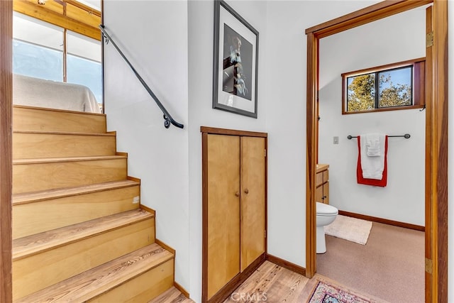 staircase featuring hardwood / wood-style flooring