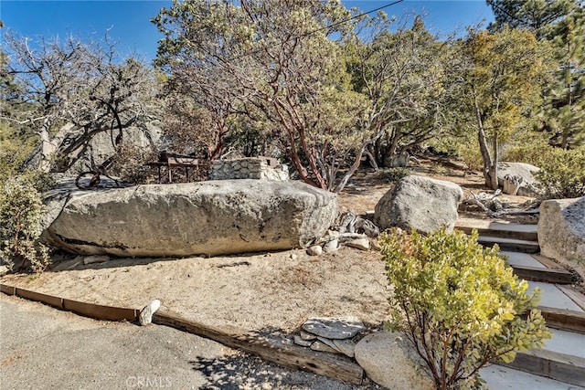 view of local wilderness