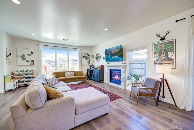 living room with hardwood / wood-style flooring and a fireplace