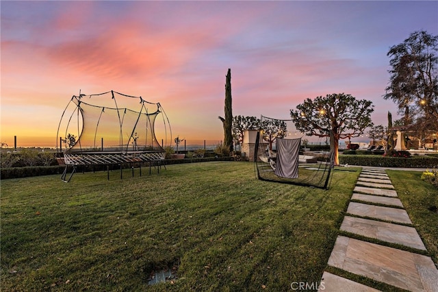 view of yard at dusk