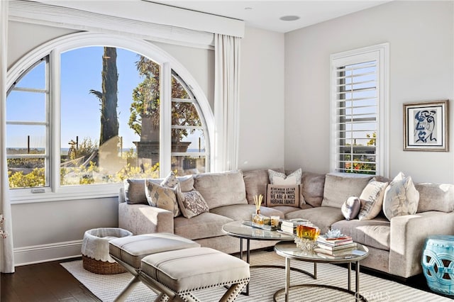 living room featuring a healthy amount of sunlight, baseboards, and wood finished floors