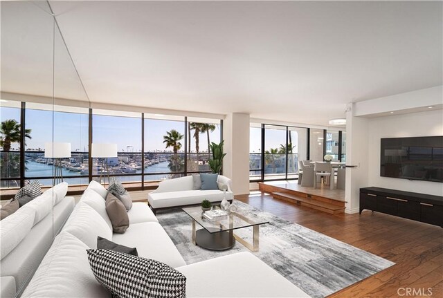 living room featuring a water view and dark wood-type flooring