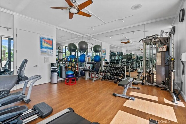 gym with ceiling fan, hardwood / wood-style floors, track lighting, and ornamental molding