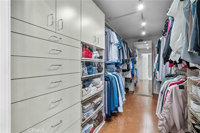 walk in closet with wood-type flooring