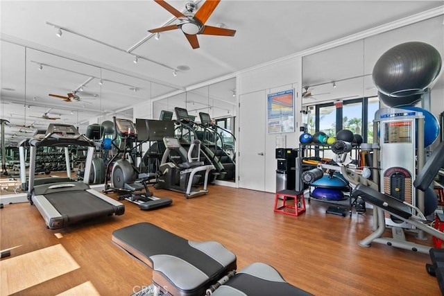 gym with hardwood / wood-style flooring, rail lighting, and ceiling fan