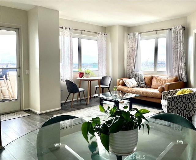 living room featuring hardwood / wood-style flooring