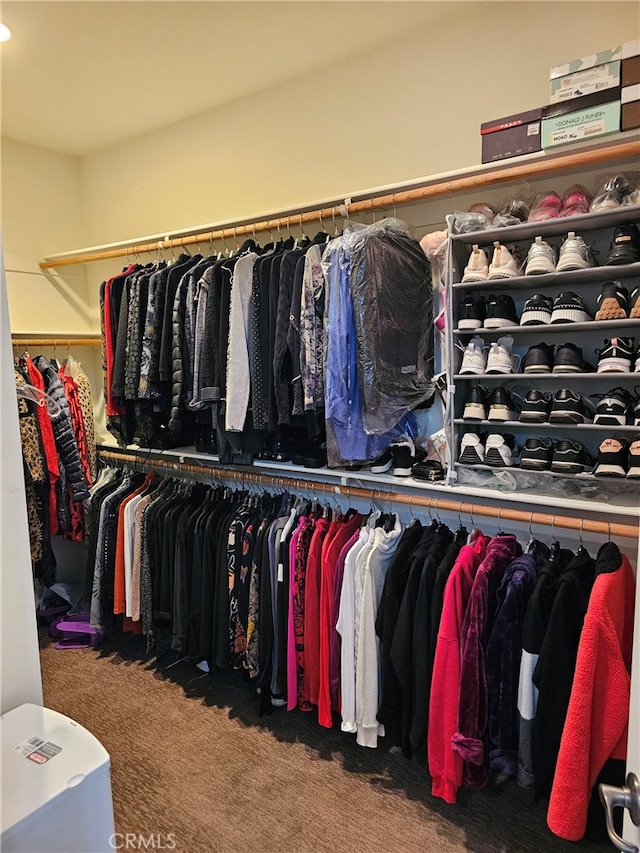 spacious closet featuring carpet flooring