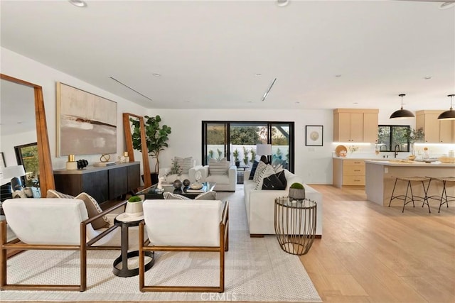 living room with light wood-type flooring