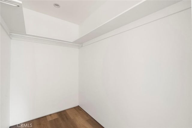 spacious closet featuring dark wood-type flooring