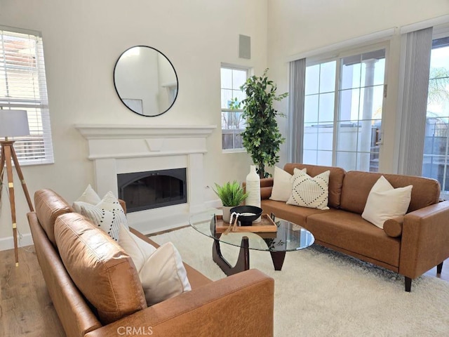 living room featuring a healthy amount of sunlight and light hardwood / wood-style flooring