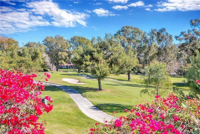 view of home's community with a yard