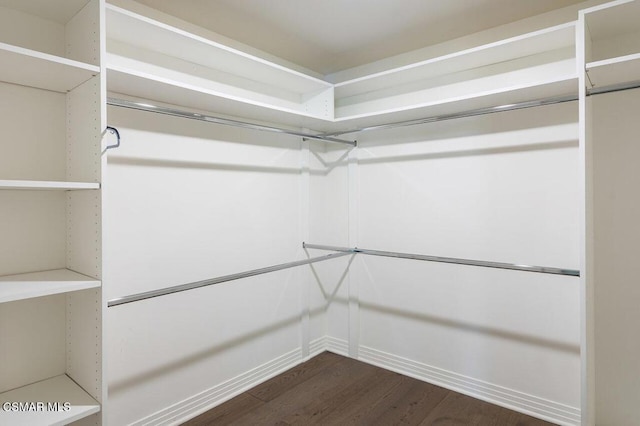 spacious closet with dark hardwood / wood-style floors