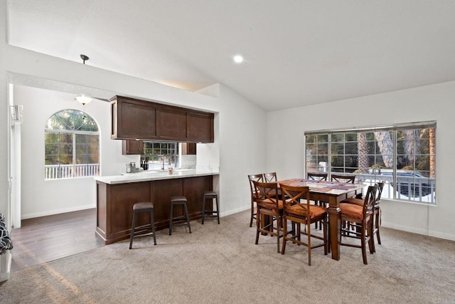 carpeted dining area with lofted ceiling