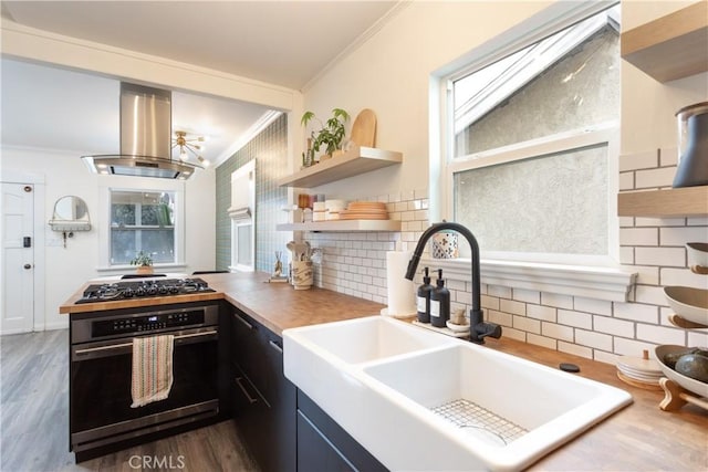 kitchen featuring crown molding, island range hood, sink, backsplash, and stainless steel appliances