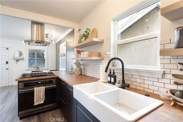 kitchen featuring island range hood, sink, ornamental molding, dark hardwood / wood-style flooring, and stainless steel appliances